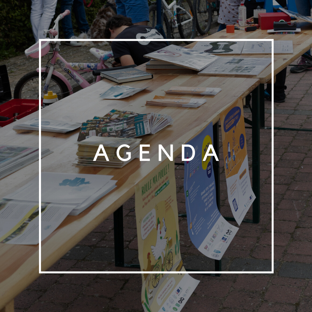 Agenda du Maillon
