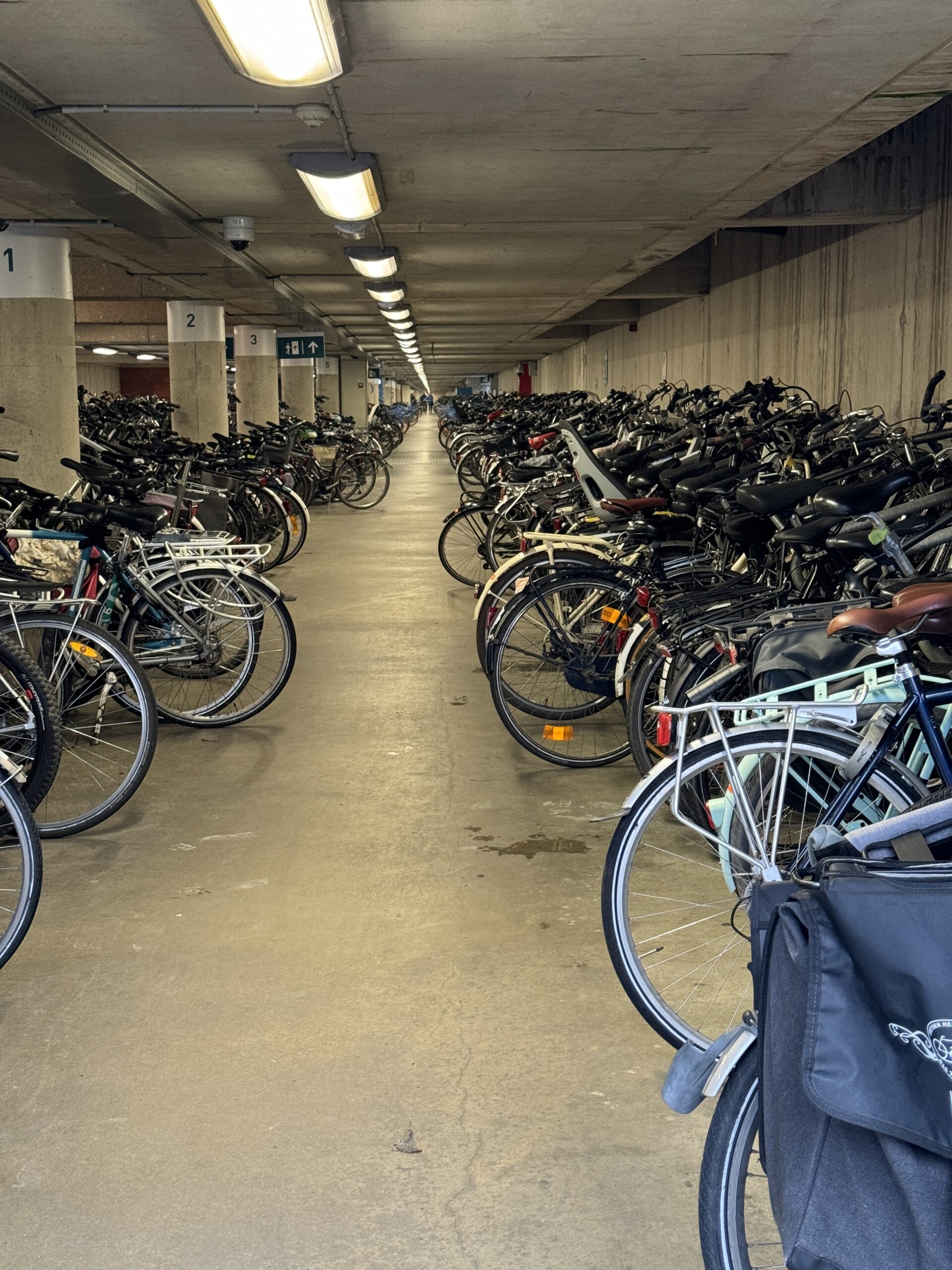 Le Maillon gravel team